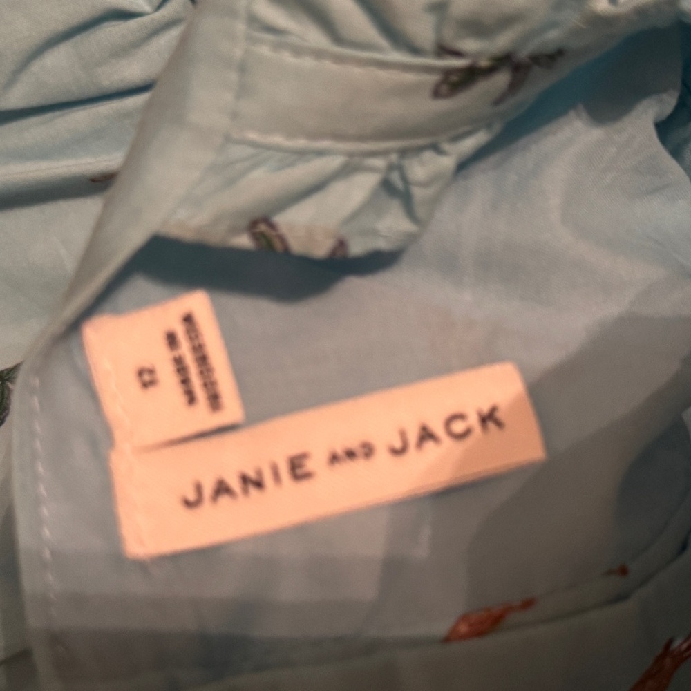 Janie and Jack Light Blue Shirt with Embroidery - Picture 3 of 4